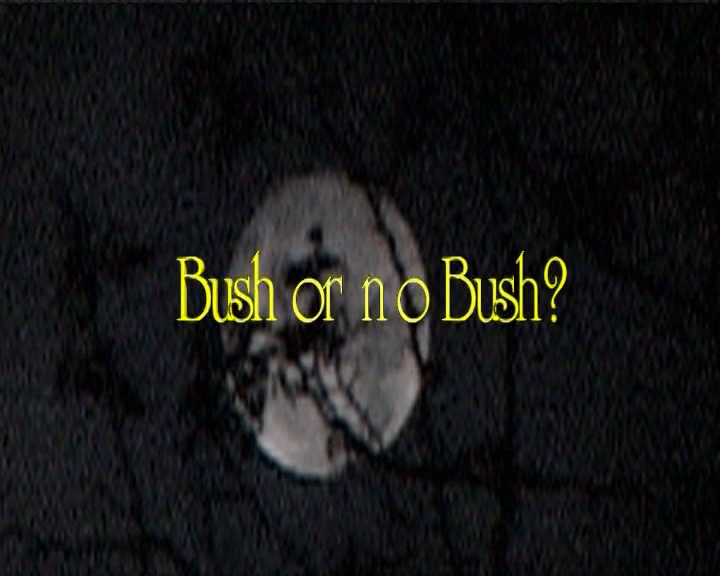 Bush or no Bush